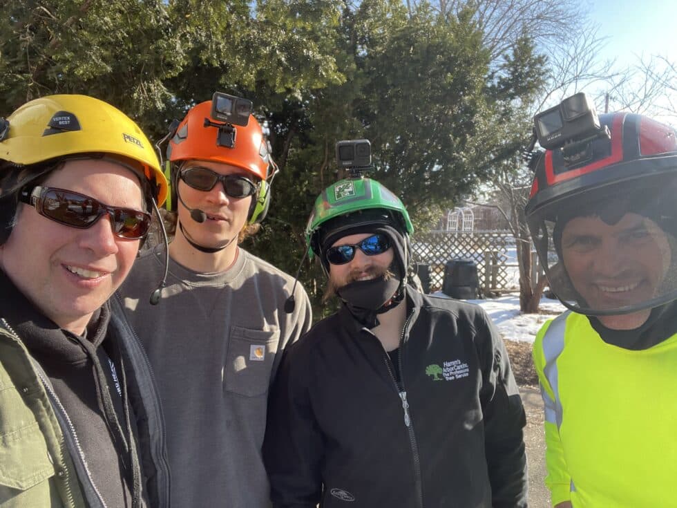 Justin Morris with Arborist Team at Work Justin Morris with Arborist Team at Work